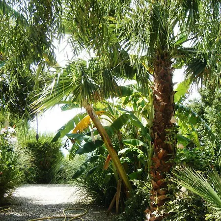 Villa Giardino Sul Mare *