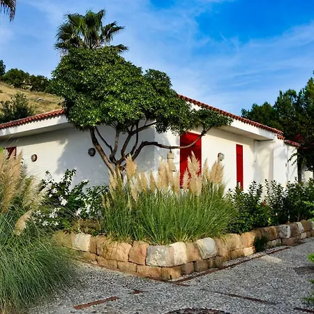 Giardino Sul Mare - Solarium And Garden